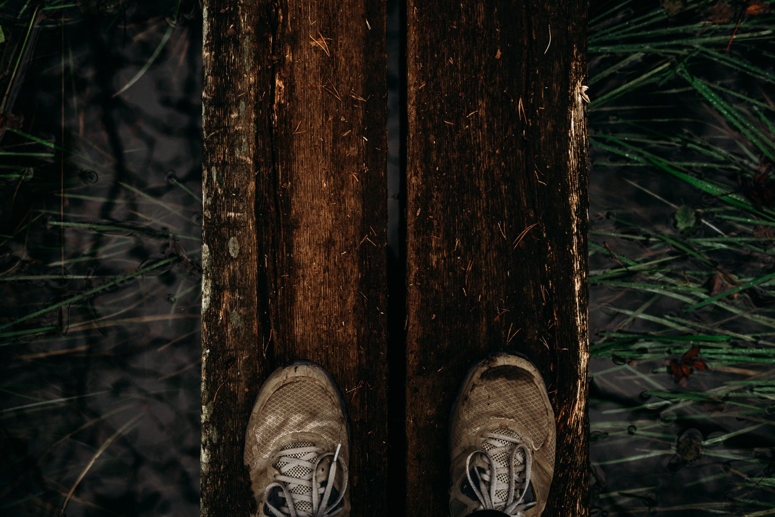 Chaussures de randonnée