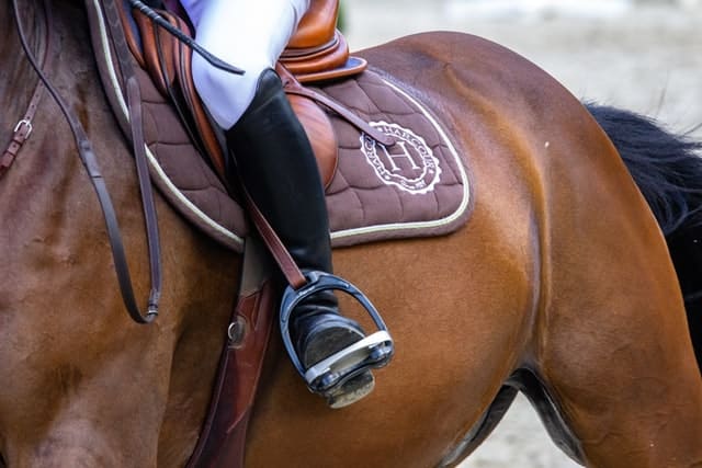 Quel est le prix d’une licence d’équitation ?